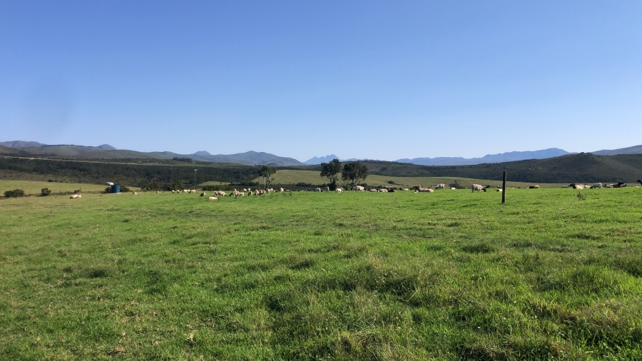 8 Bedroom Property for Sale in Elandsrivier Eastern Cape